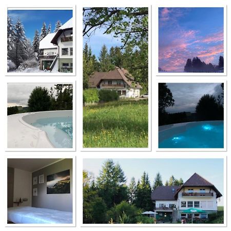B & B Der Waldvogel Herrischried Exteriér fotografie