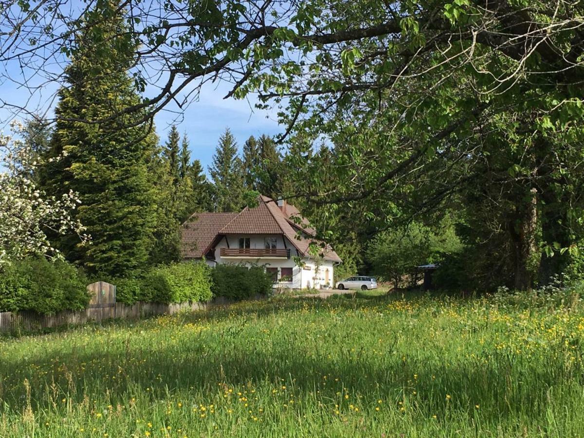B & B Der Waldvogel Herrischried Exteriér fotografie