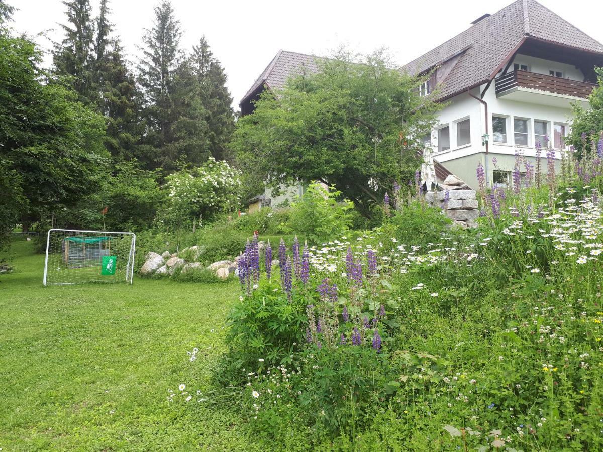 B & B Der Waldvogel Herrischried Exteriér fotografie